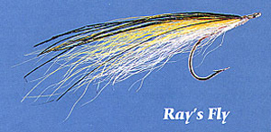 Ray's Fly