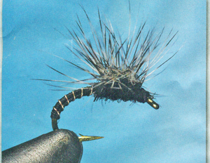 Hackle Stacker Emerger