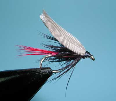 Black Gnat Wet Fly