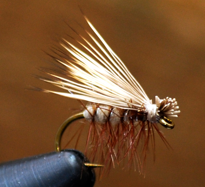 Elk Hair Caddis