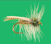 Hemingway Caddis, Steve Welitoff