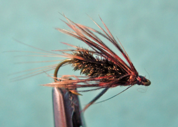 Isonychia Soft Hackle