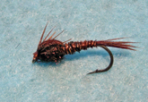 Pheasant Tail Nymph