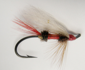 Royal Coachman Streamer